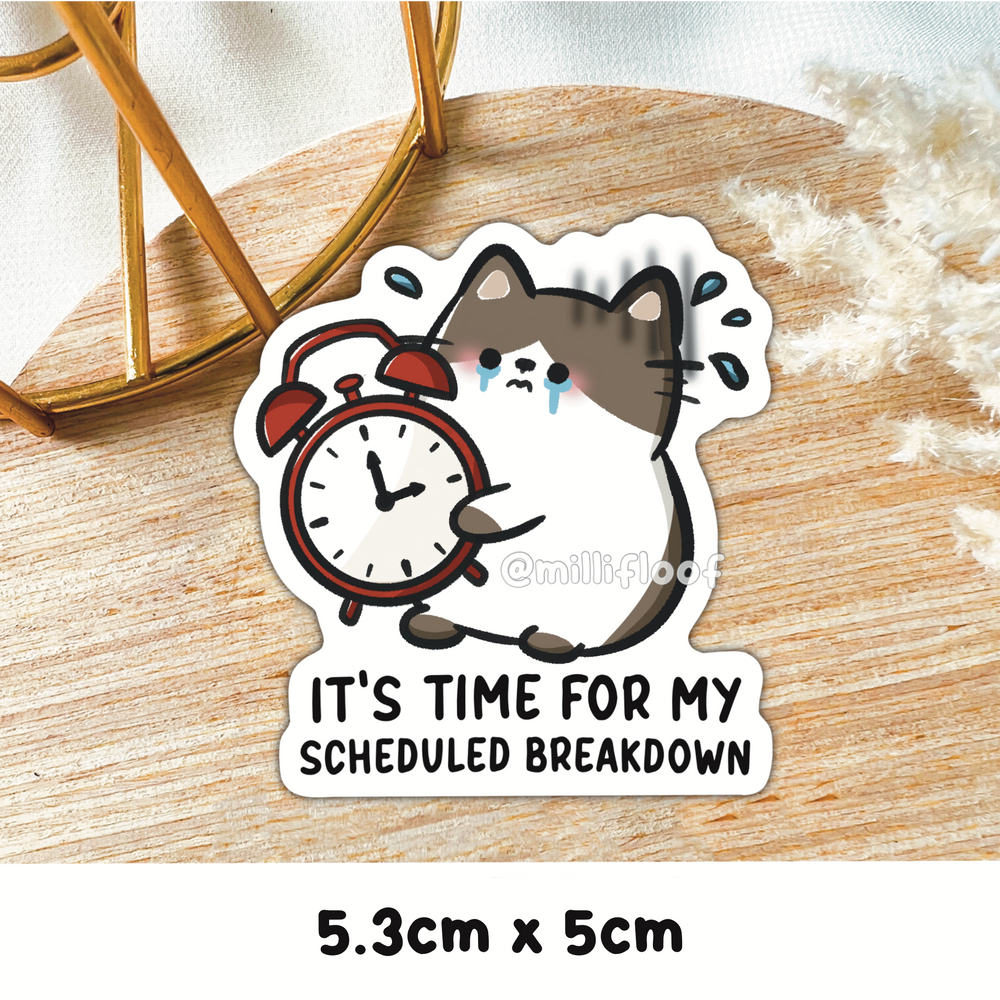 It's Time For My Scheduled Breakdown