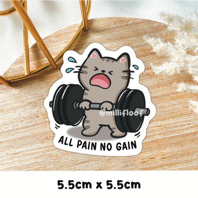 All Pain No Gain