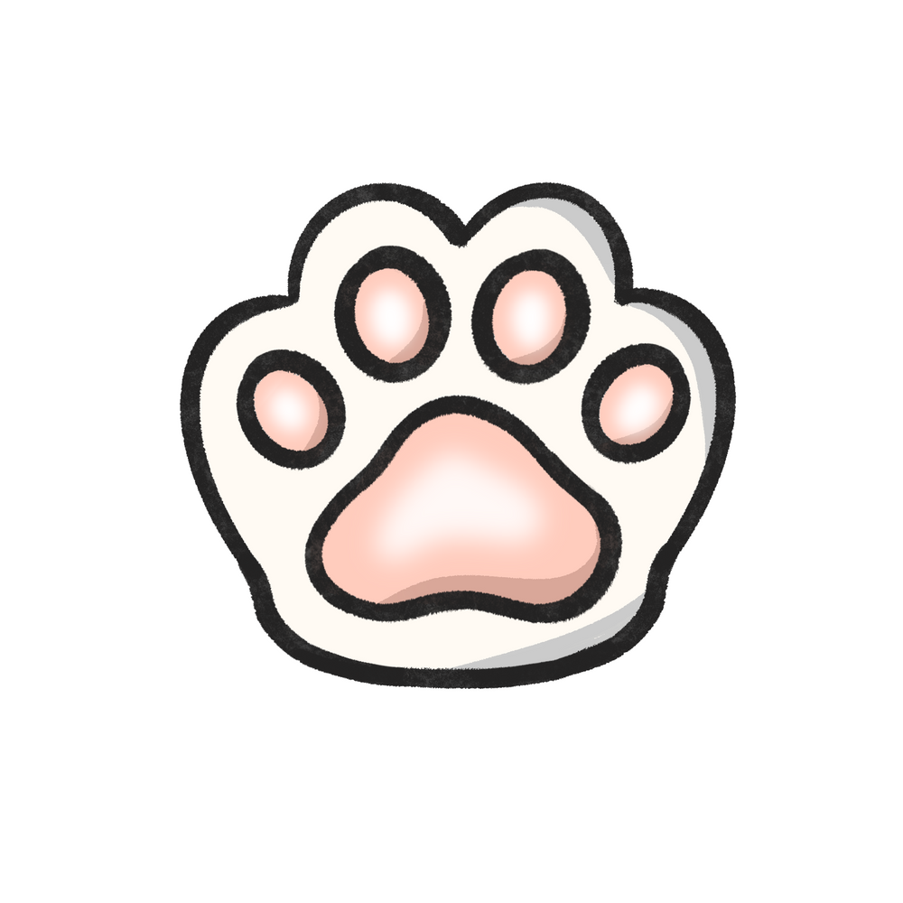 Squishy Beans