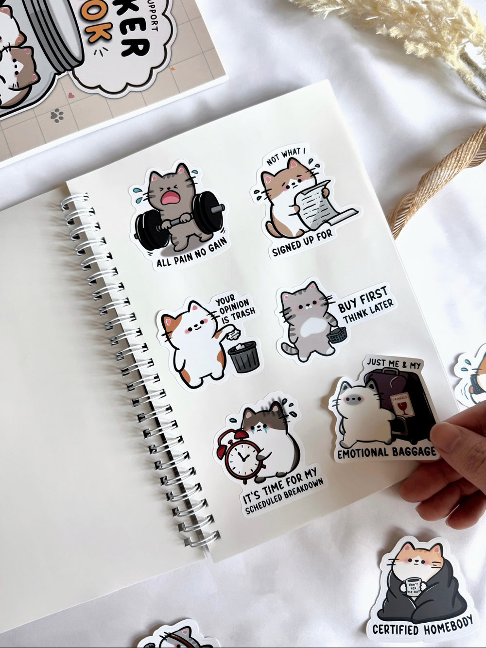 Sticker Book