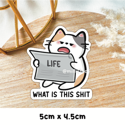 What Is This Shit