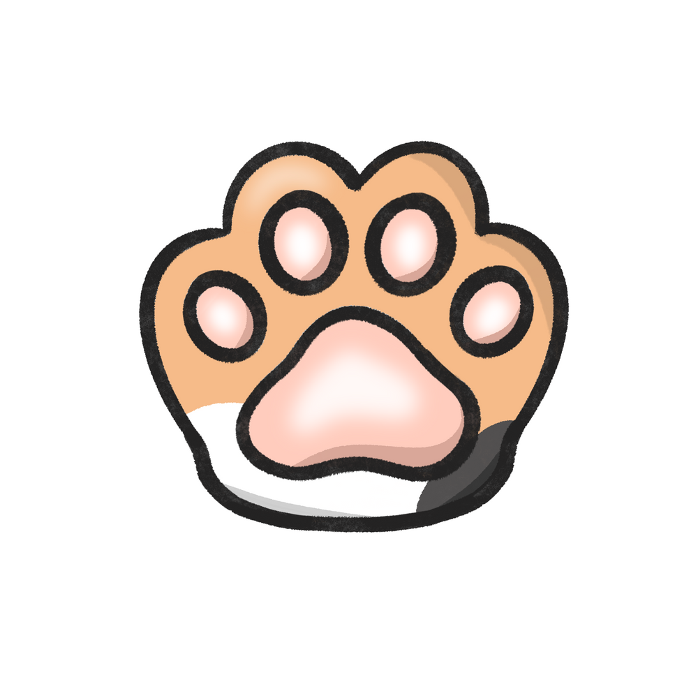 Squishy Beans