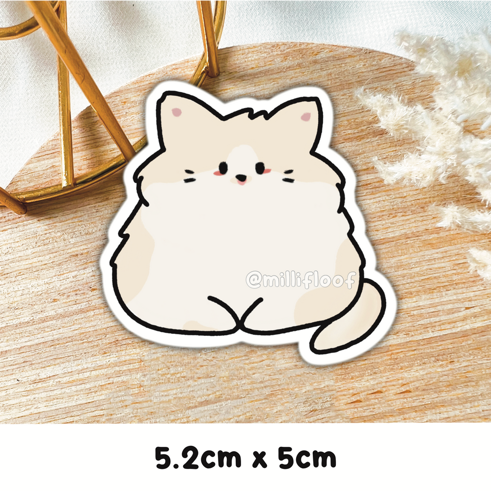 Breed - Ragdoll