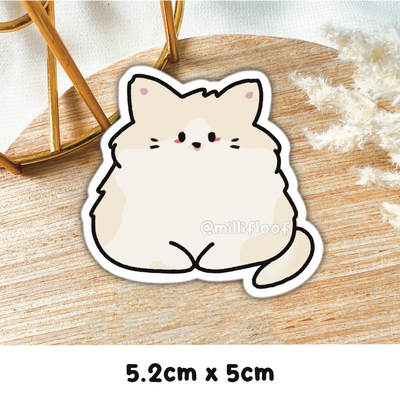 Breed - Ragdoll
