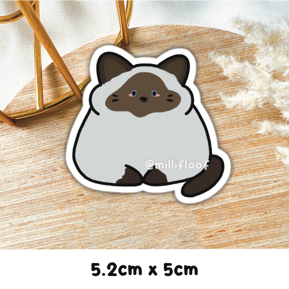 Siamese Cat