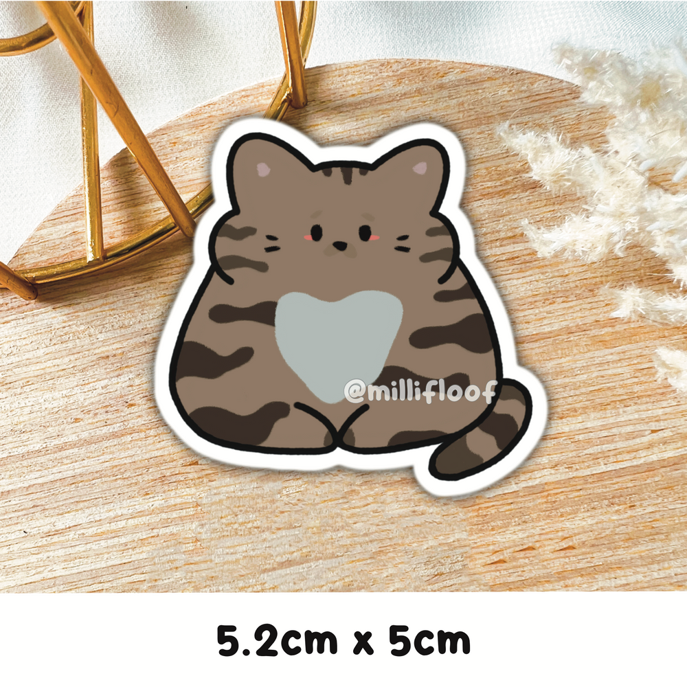 Breed - Tabby