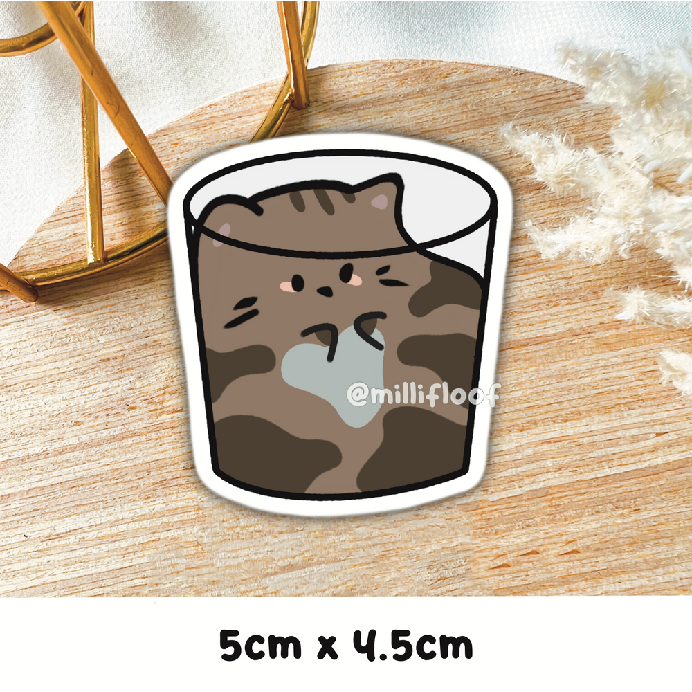Cat In A Bucket