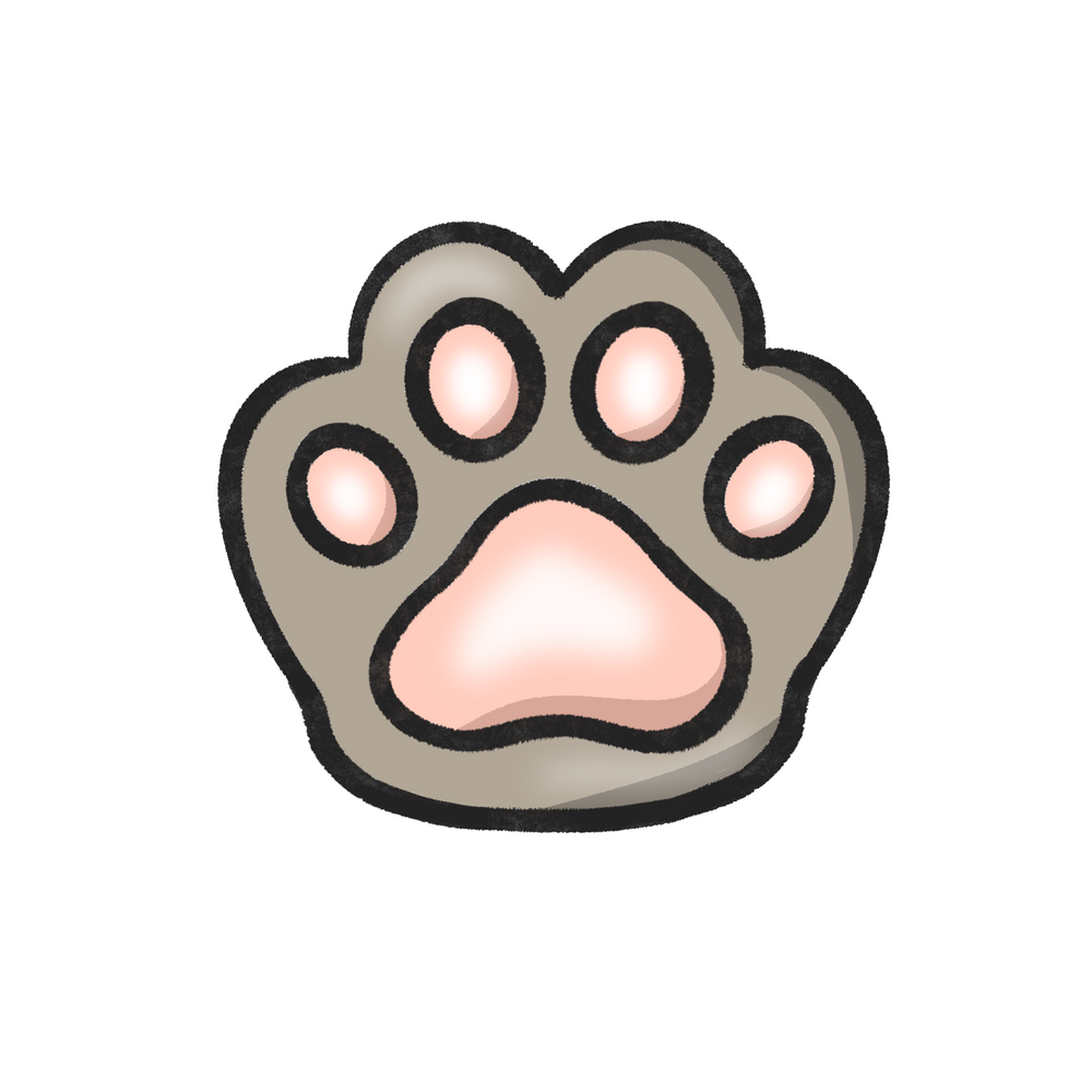 Squishy Beans
