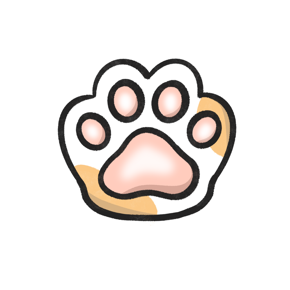 Squishy Beans