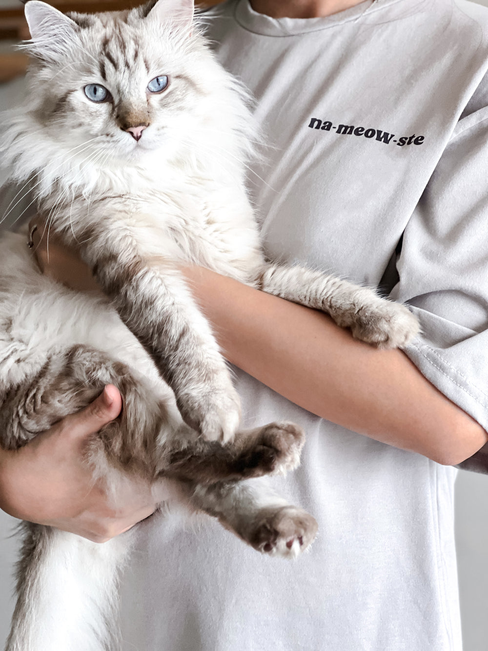 Na-Meow-Ste Tshirt