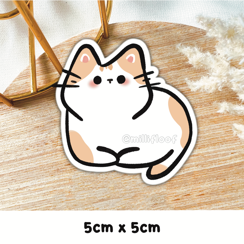 White & Orange Cat