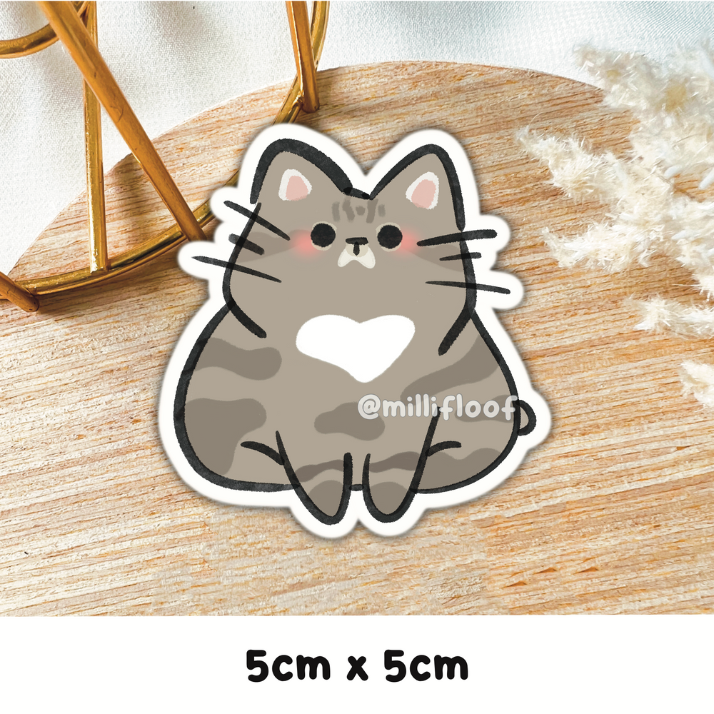 Tabby Cat