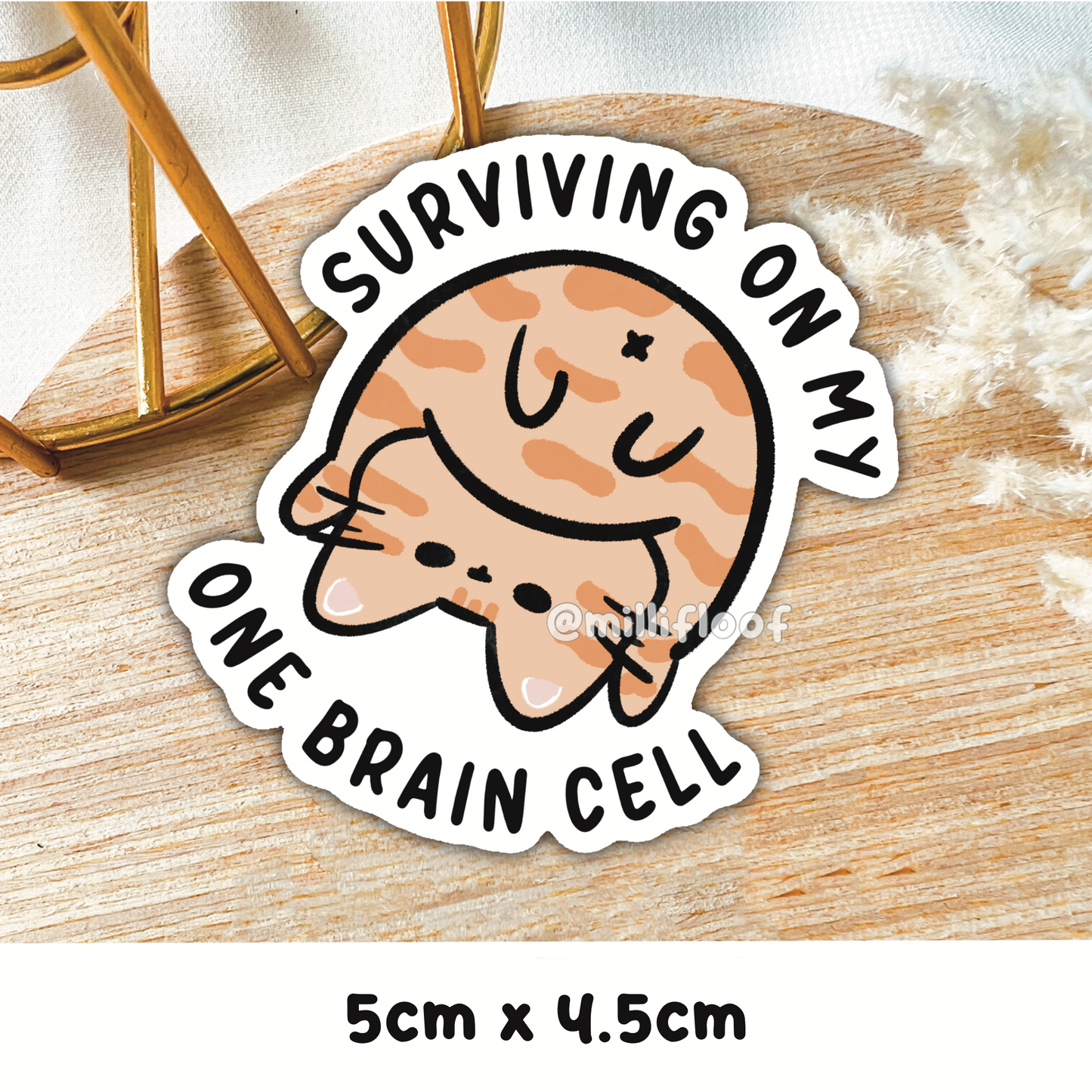 Surviving On My One Brain Cell