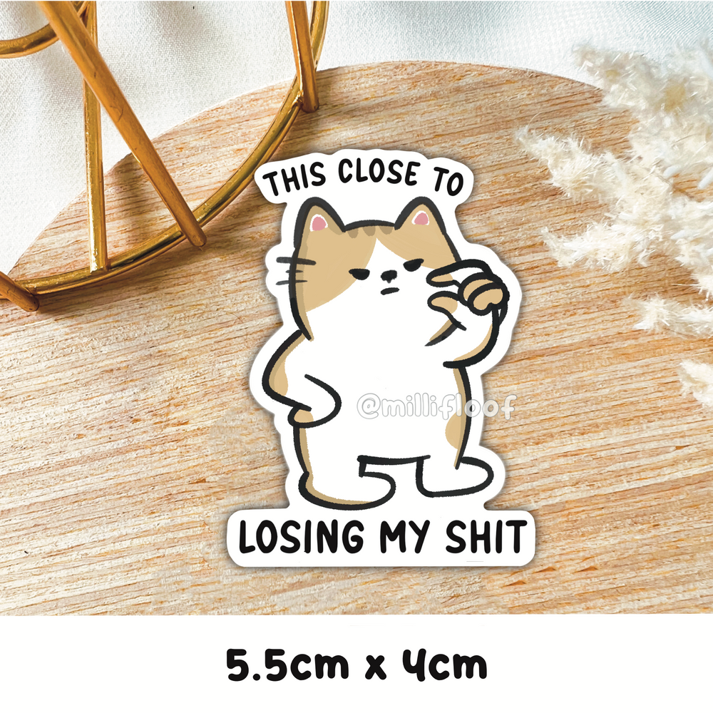 This Close To Losing My Shit