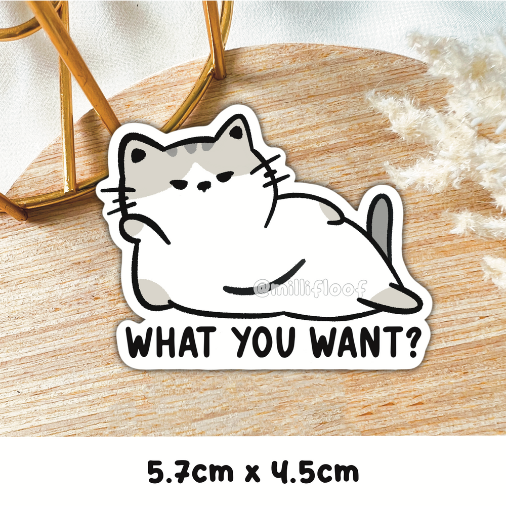 What You Want