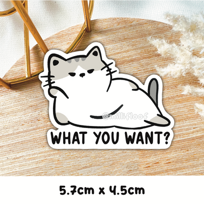 What You Want