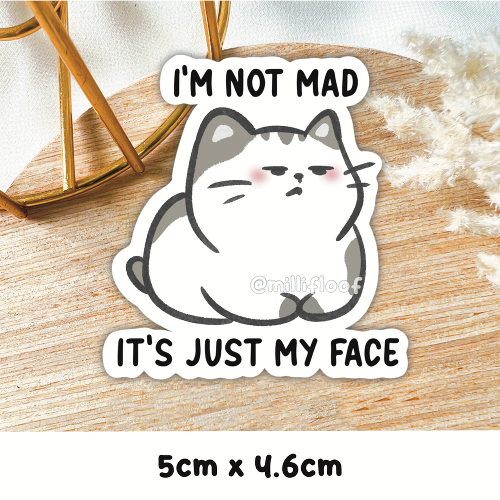 I'm Not Mad It's Just My Face