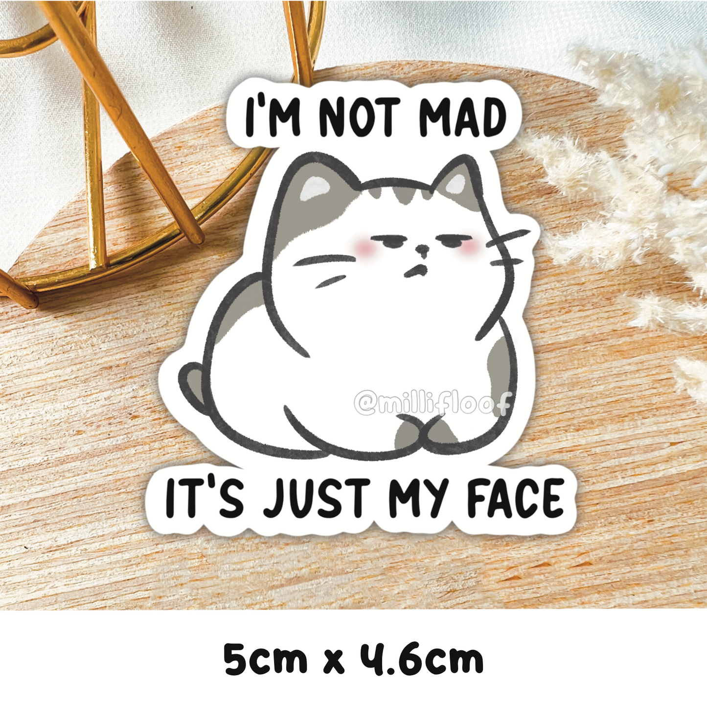 I'm Not Mad It's Just My Face