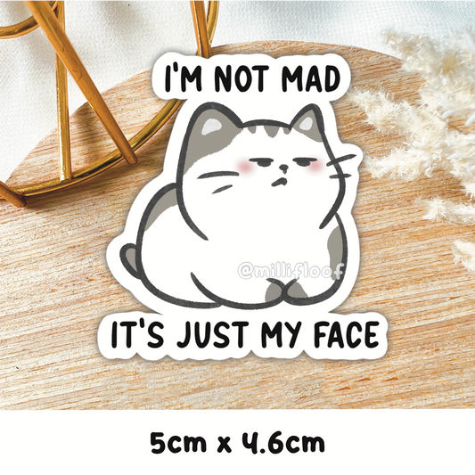 I'm Not Mad It's Just My Face