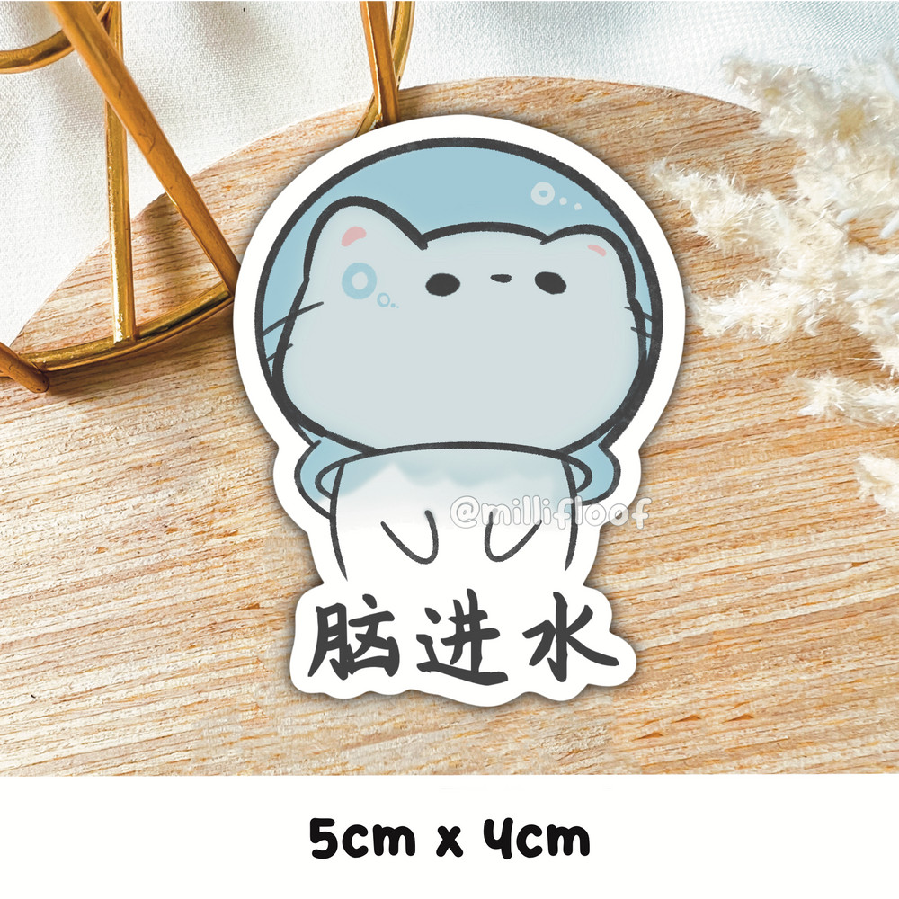 脑进水