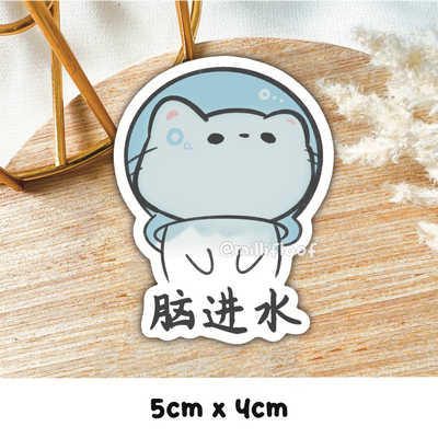 脑进水