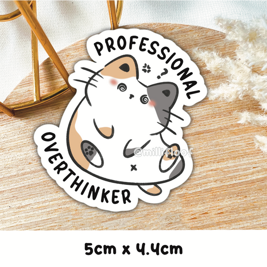 Professional Overthinker