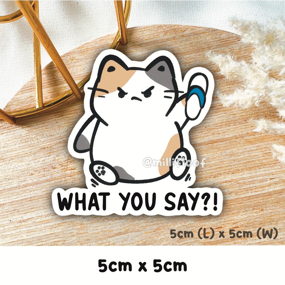 What You Say?!